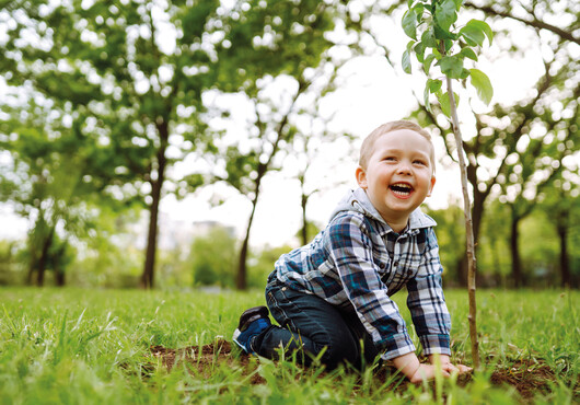 kleines Kind pflanz einen Baum.