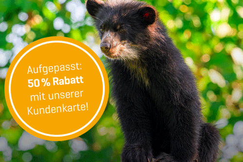 Ein Brillenbär im Zoo Duisburg Ein Brillenbär im Zoo Duisburg