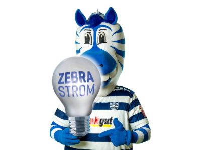 Zebrastrom Teaserbild Ennatz.