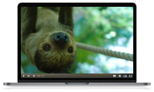 Screenshot aus dem Video über die Tropenhalle Rio Negro