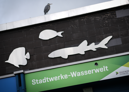Eingangsbereich Stadtwerke-Wasserwelt Eingangsbereich Stadtwerke-Wasserwelt